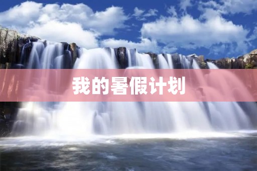 我的暑假计划