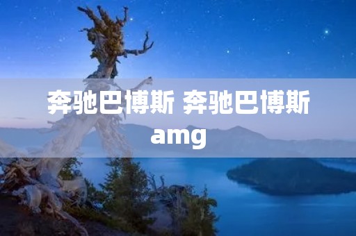 奔驰巴博斯 奔驰巴博斯amg