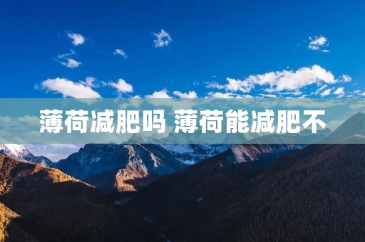 薄荷减肥吗 薄荷能减肥不