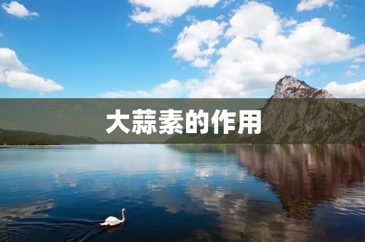 大蒜素的作用:从多个角度解析大蒜素的功效 大蒜素的作用:从多个角度解析大蒜素的功效