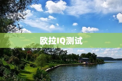 欧拉IQ测试：一场智力的较量