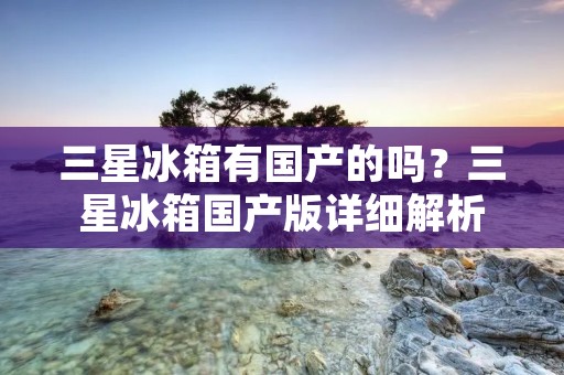 三星冰箱有国产的吗?三星冰箱国产版详细解析 三星冰箱有国产的吗?三星冰箱国产版详细解析
