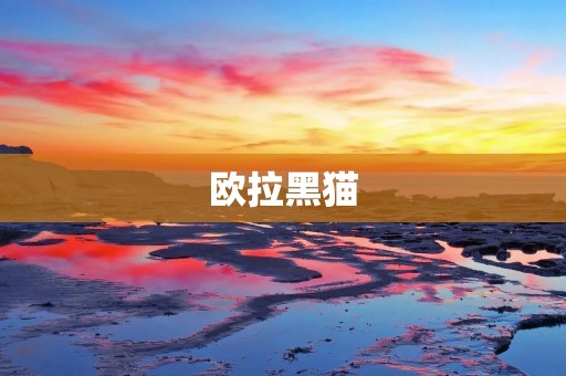欧拉黑猫：一只优雅、神秘的猫