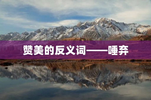 赞美的反义词——唾弃
