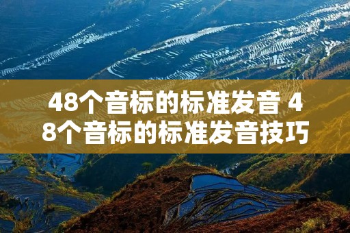 48个音标的标准发音 48个音标的标准发音技巧?