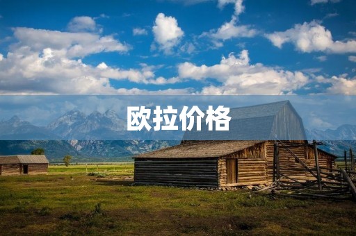 欧拉价格:让数学与经济学相结合的重要理论 欧拉价格:让数学与经济学相结合的重要理论