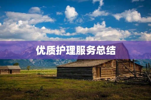 优质护理服务总结