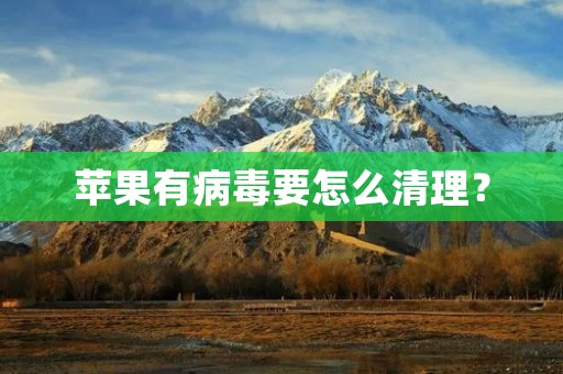 苹果有病毒要怎么清理?
