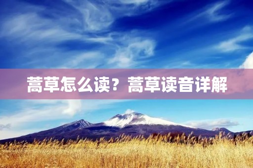 蒿草怎么读?蒿草读音详解 蒿草怎么读?蒿草读音详解