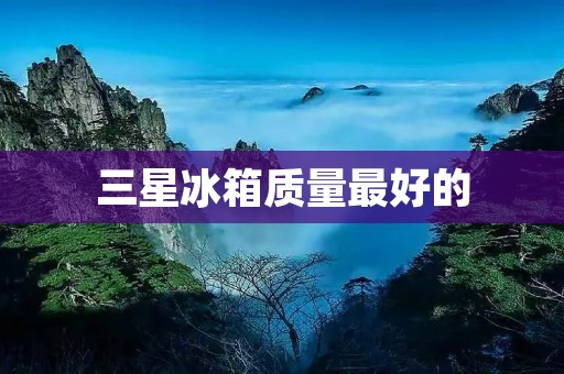 三星冰箱质量最好的:为什么选择三星冰箱? 三星冰箱质量最好的:为什么选择三星冰箱?