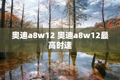 奥迪a8w12 奥迪a8w12最高时速