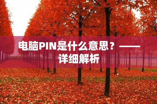 电脑PIN是什么意思?——详细解析