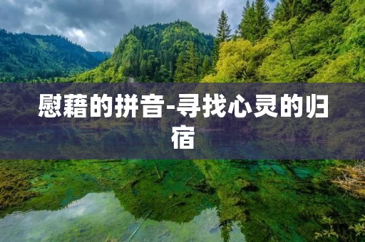 慰藉的拼音-寻找心灵的归宿