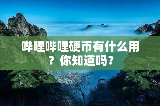 哔哩哔哩硬币有什么用?你知道吗?
