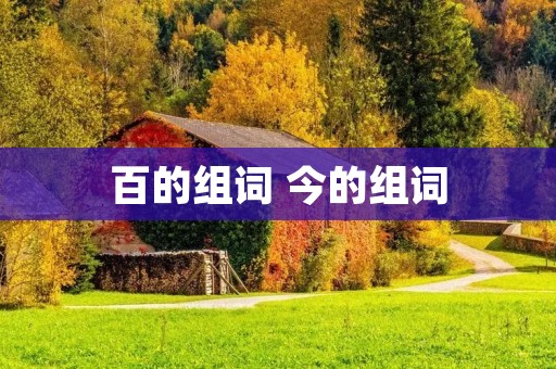 百的组词 今的组词