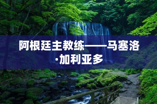 阿根廷主教练——马塞洛·加利亚多:用心灵触碰足球 阿根廷主教练——马塞洛·加利亚多:用心灵触碰足球