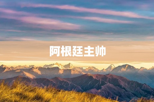 阿根廷主帅：马拉多纳的辉煌与争议