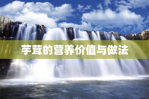 芋茸的营养价值与做法 芋茸的营养价值与做法
