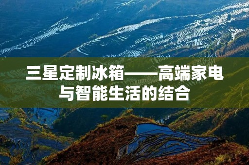 三星定制冰箱——高端家电与智能生活的结合