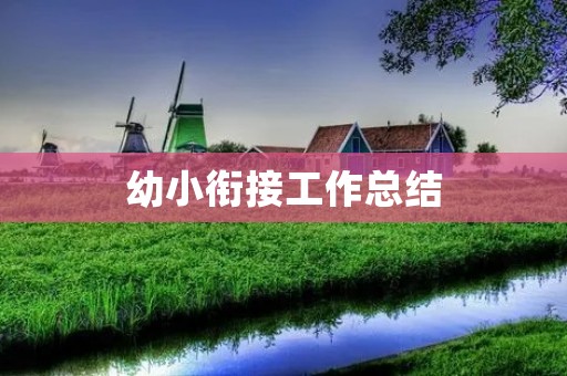幼小衔接工作总结