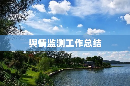 舆情监测工作总结