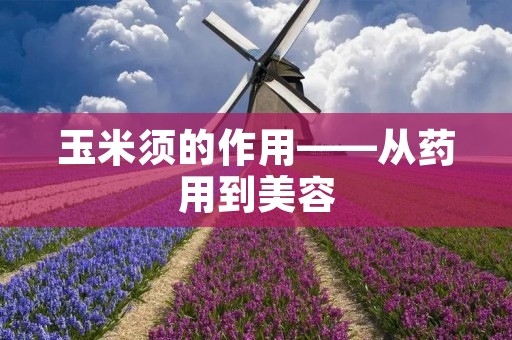 玉米须的作用——从药用到美容
