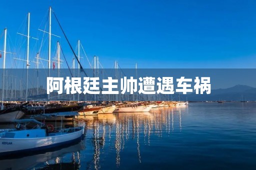 阿根廷主帅遭遇车祸:恢复中的巴蒂斯图塔 阿根廷主帅遭遇车祸:恢复中的巴蒂斯图塔