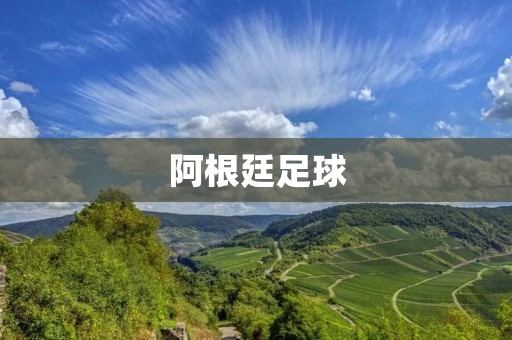 阿根廷足球：从马拉多纳到梅西
