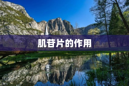 肌苷片的作用：缓解疼痛，促进肌肉恢复