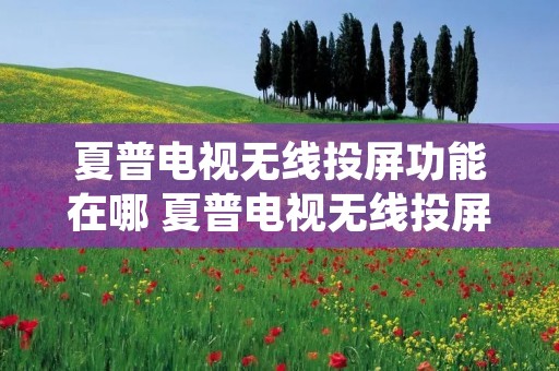 夏普电视无线投屏功能在哪 夏普电视无线投屏功能怎么打开 夏普电视无线投屏功能在哪 夏普电视无线投屏功能怎么打开