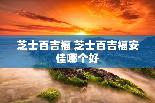 芝士百吉福 芝士百吉福安佳哪个好