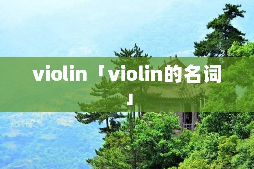 violin「violin的名词」 violin「violin的名词」