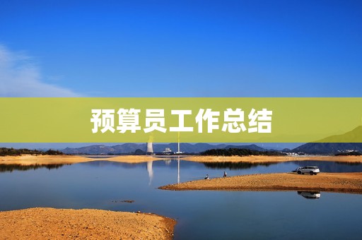 预算员工作总结:实践中的经验与思考
