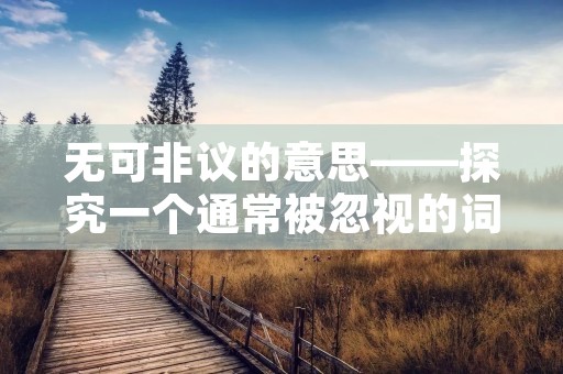 无可非议的意思——探究一个通常被忽视的词语真正的内涵