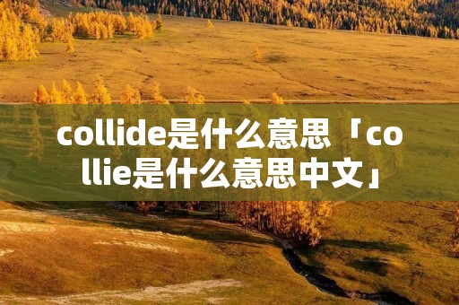 collide是什么意思「collie是什么意思中文」
