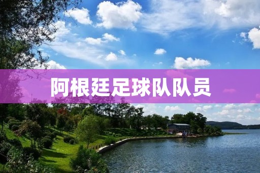阿根廷足球队队员：荣耀与挑战