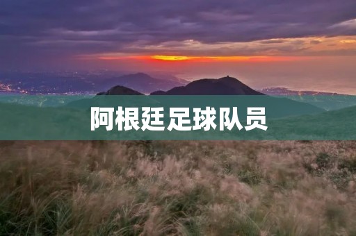 阿根廷足球队员：天生的足球天才