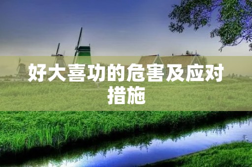 好大喜功的危害及应对措施