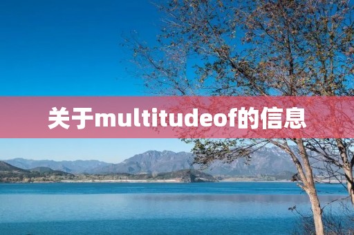 关于multitudeof的信息
