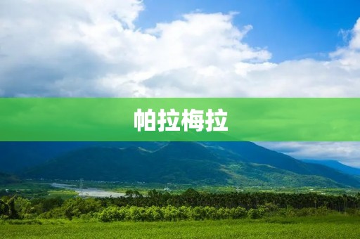 帕拉梅拉:探索宇宙的眼睛 帕拉梅拉:探索宇宙的眼睛