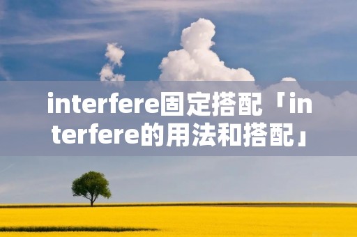interfere固定搭配「interfere的用法和搭配」