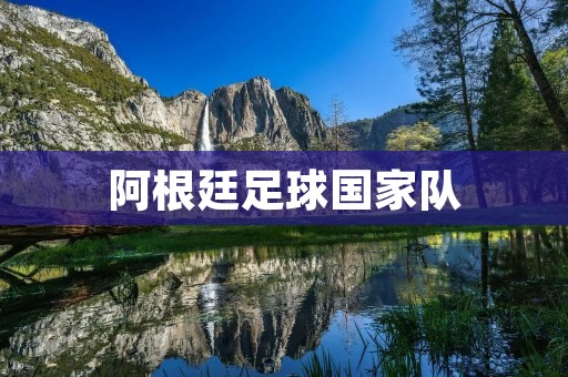 阿根廷足球国家队：金球奖与梦想之路