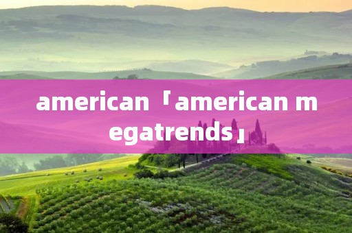 american「american megatrends」