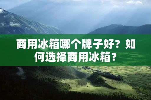 商用冰箱哪个牌子好？如何选择商用冰箱？