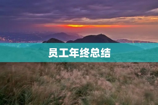 员工年终总结:回顾成长路程,展望未来发展