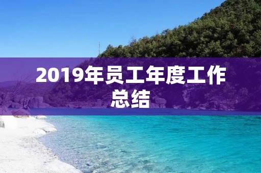2019年员工年度工作总结