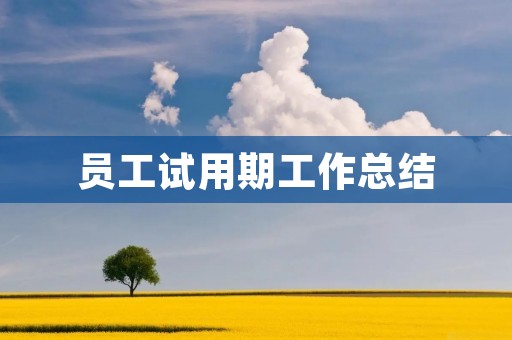 员工试用期工作总结