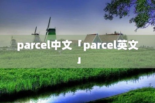 parcel中文「parcel英文」