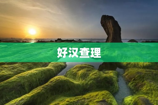 好汉查理：一位传奇的美国牛仔