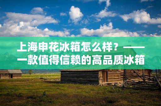 上海申花冰箱怎么样？——一款值得信赖的高品质冰箱